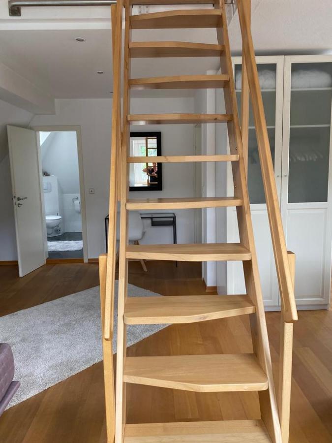 Moseltraum Apartment